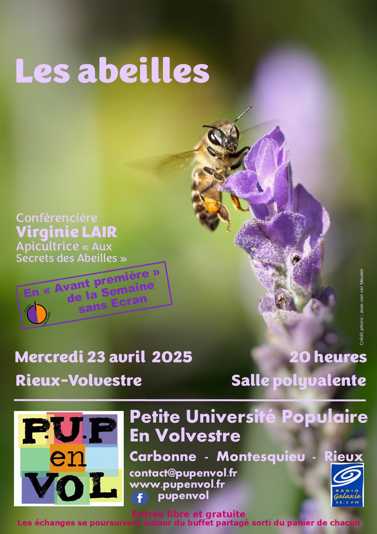 Les abeilles